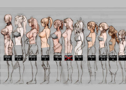 Breast Cup Sizes