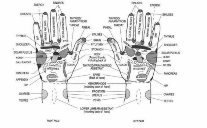 http://www.maureenfinck.com/backgrounds/reflexology/HandPoints.jpg