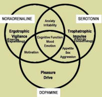 Types of Neurotransmitter
