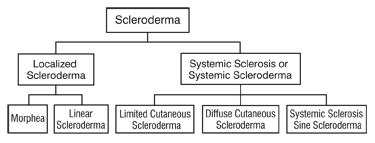 Chart describing two main subgroups of Scleroderma, Localized and Systemic Sclerosis. Localized Scleroderma has two subgroups: Morphea and Linea. Systemic Scleroderma has three subgroups: Limited, Diffuse, and Sine.
